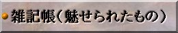 雑記帳（魅せられたもの）