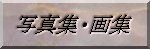 �ʐ^�W�E��W